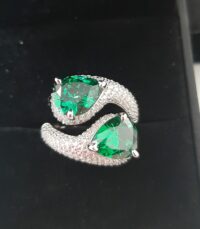 20241108_114400 Anello verde Incanto