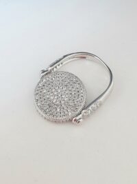 20241011_111723 Anello Duality