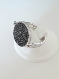 20241011_112115 Anello Duality