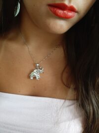 Ciondolo Saggezza Errante