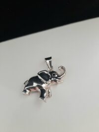 Ciondolo Saggezza Errante